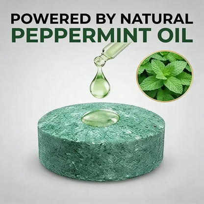 Peppermint & Cinnamon Oil Rodent Repellent Balls