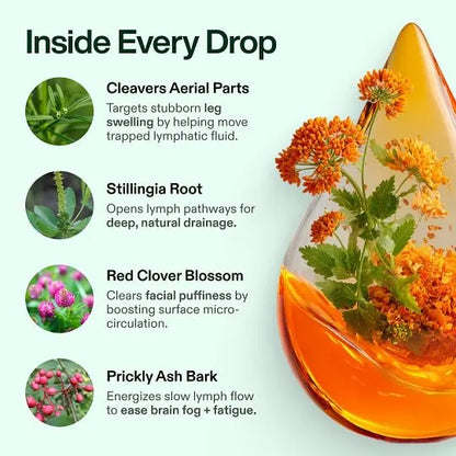 🌿Herbal Wellness Drops — Cleavers, Red Clover, Stillingia Root & Prickly Ash Bark Daily Support Big sale