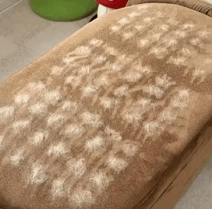 Remove pet hair in seconds