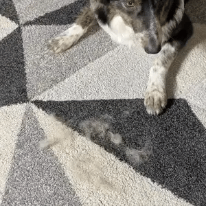 Remove pet hair in seconds